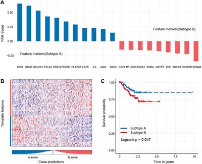 Oxidative stress genes define two subtypes of triple-negative breast cancer with prognostic and therapeutic implications